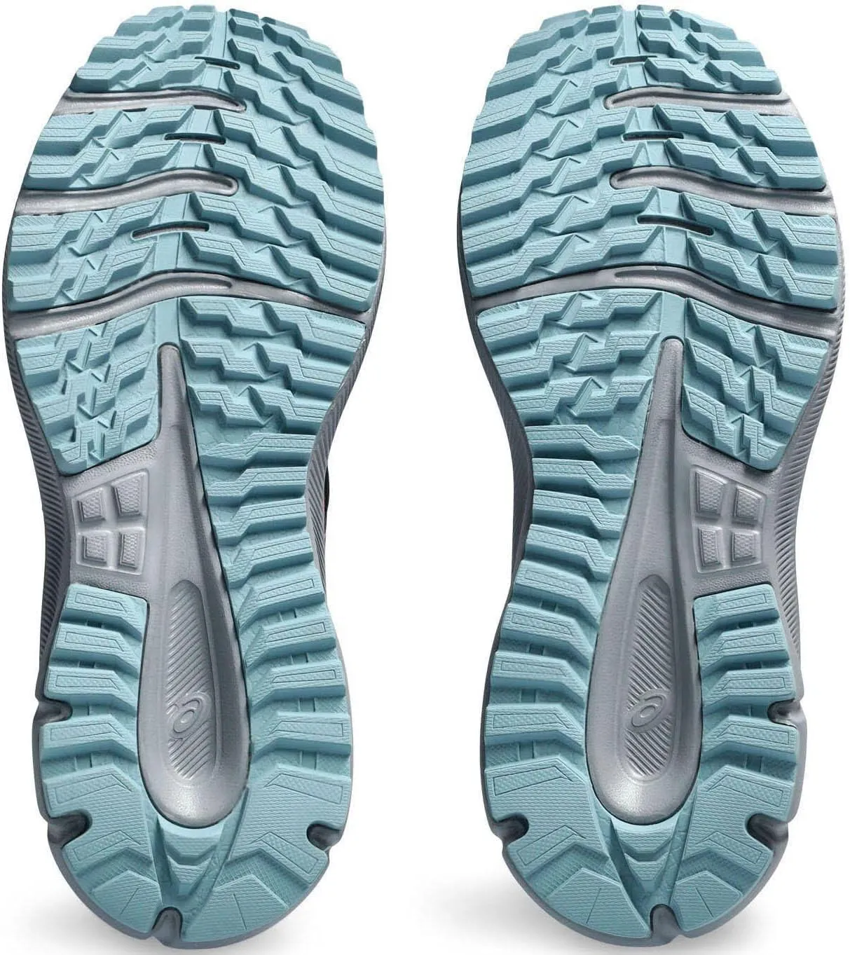 Asics Women's Trail Scout 3 Running Shoe