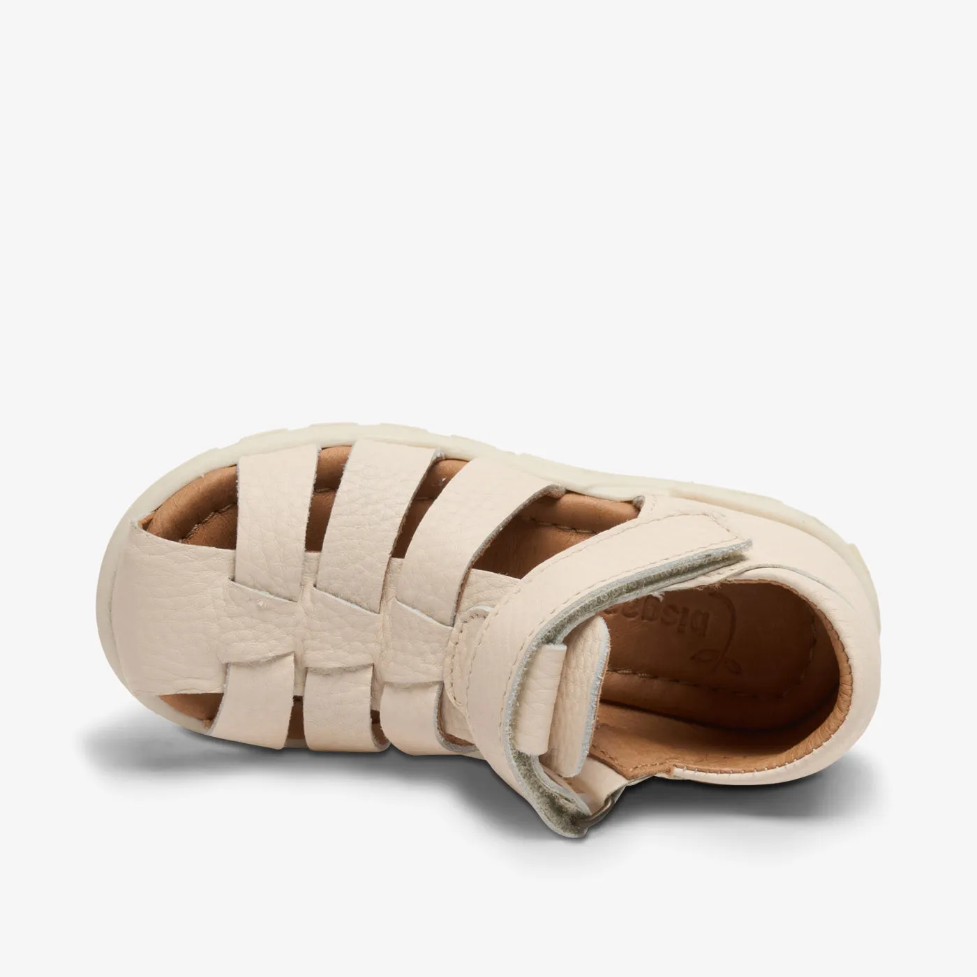 bisgaard bagge c vanilla