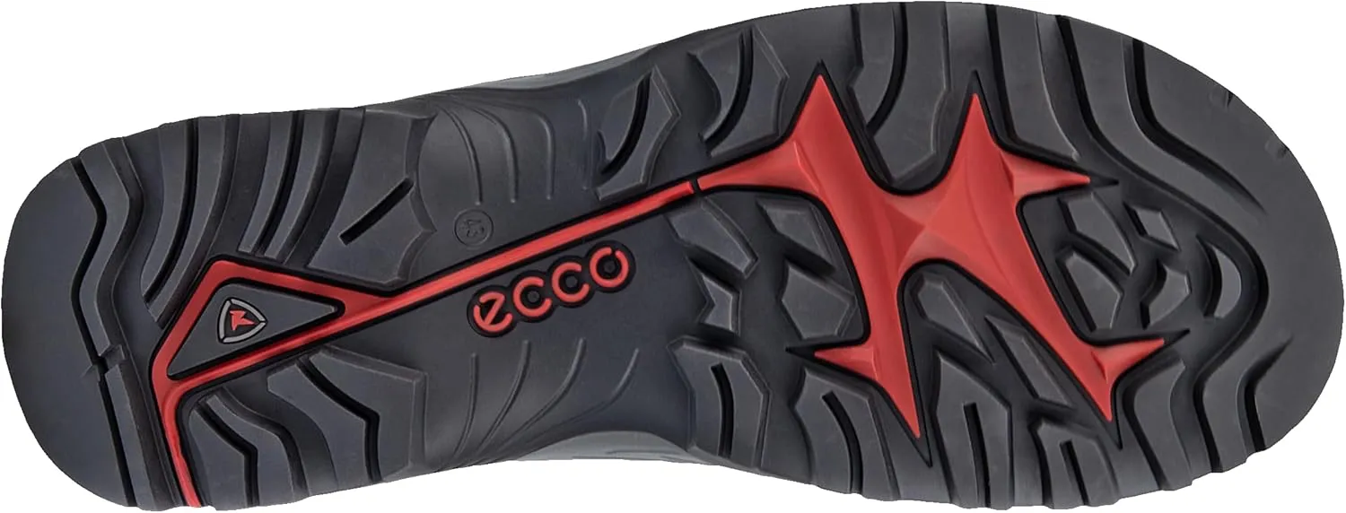 ECCO Men's Offroad Explorer Two Strap Hiking Shoe