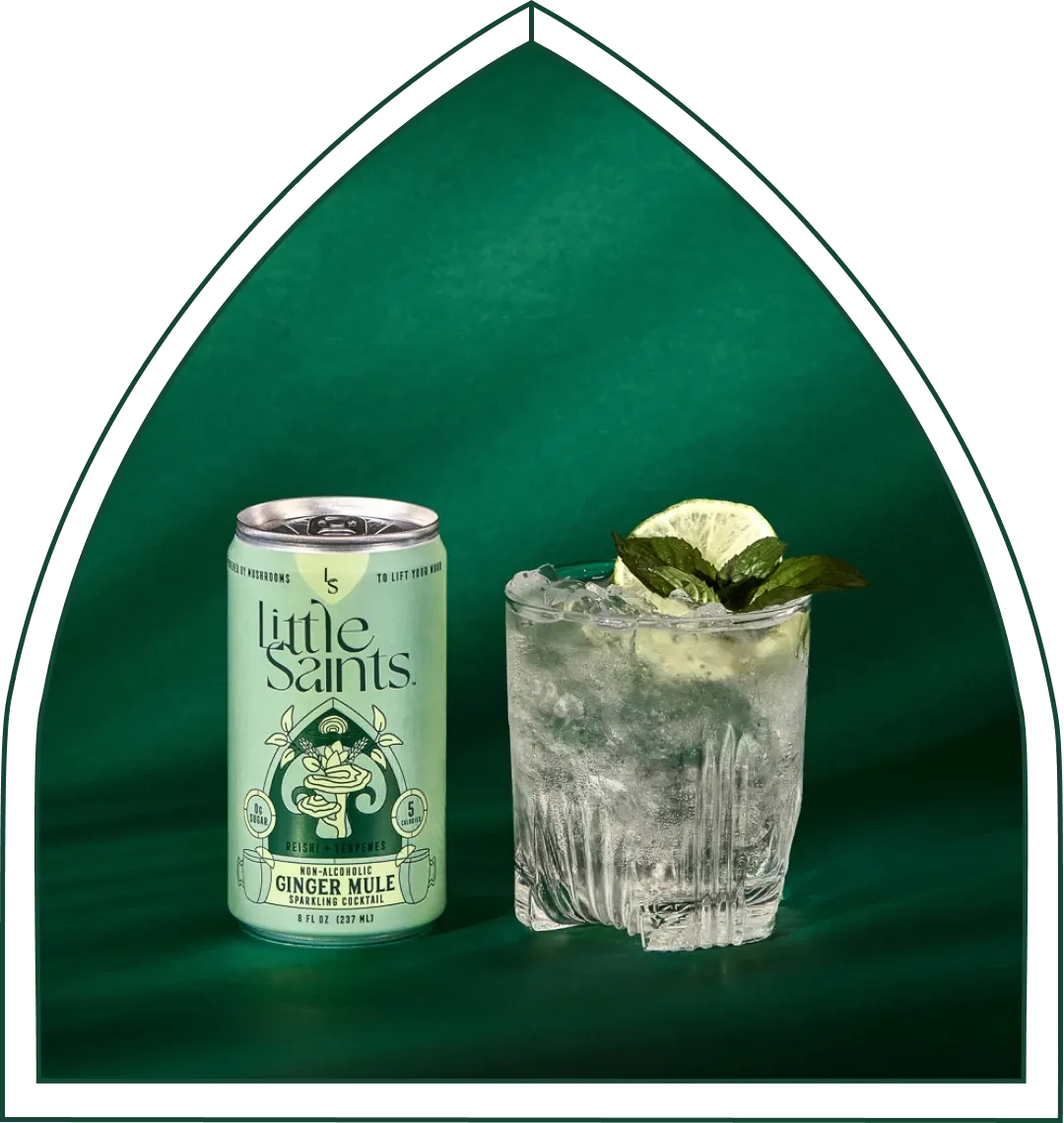 Ginger Mule: Wholesale 12-pack