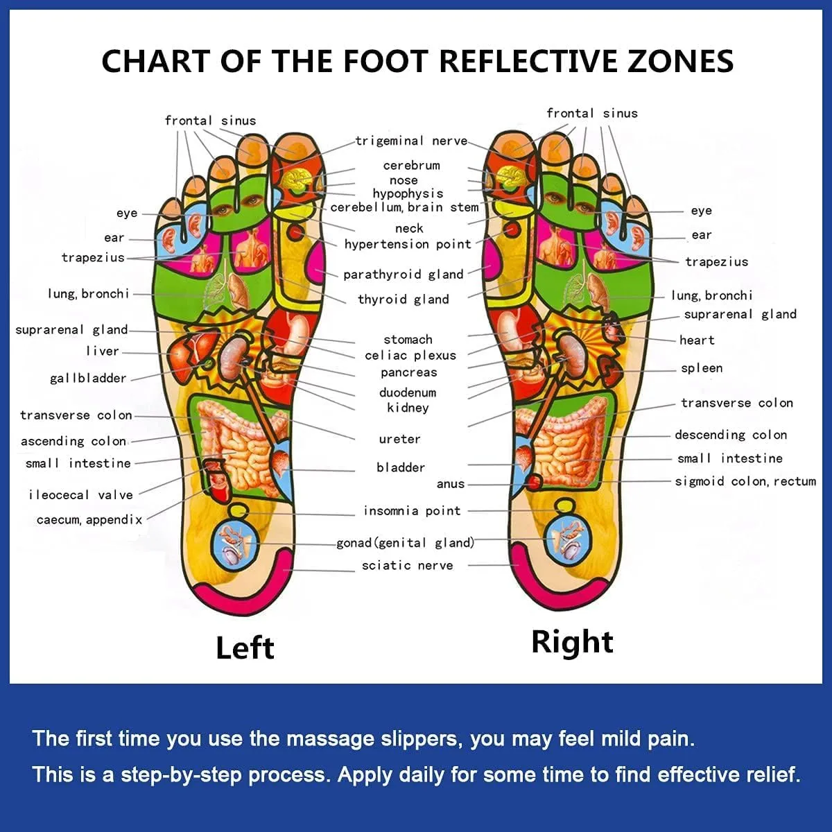 MOONTEE The FITZ:foot Slippers, Sandals