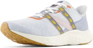 New Balance Unisex-Adult Fresh Foam Arishi V4 Running Shoe