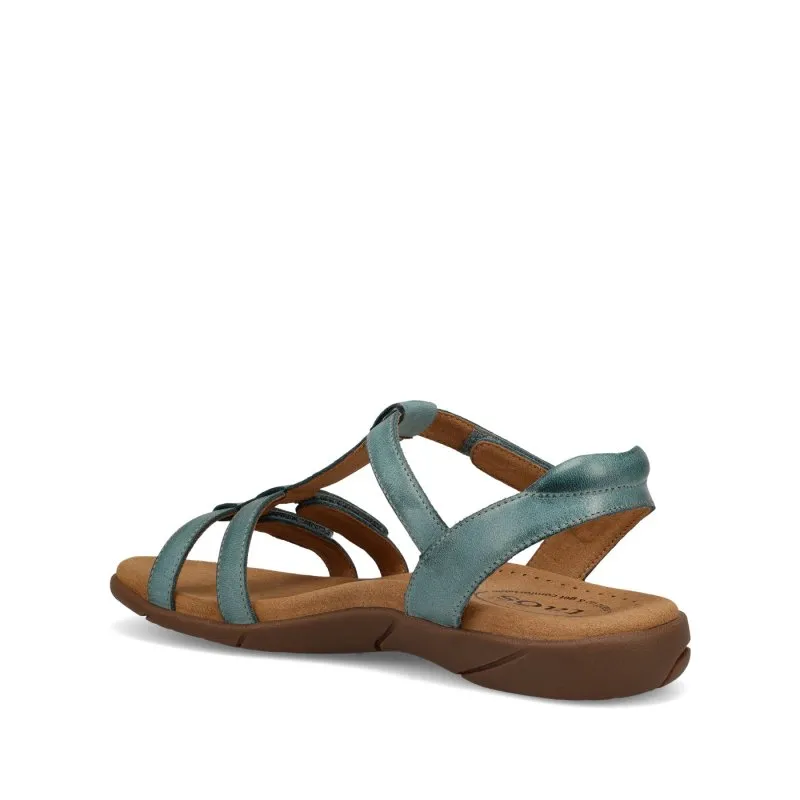 Taos Women's Trophy 2 - Teal