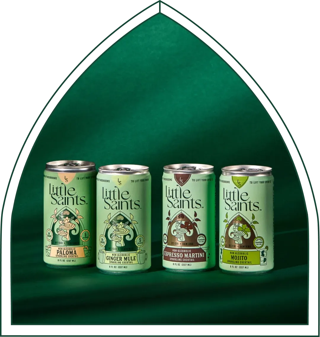 The New Flavors Bundle