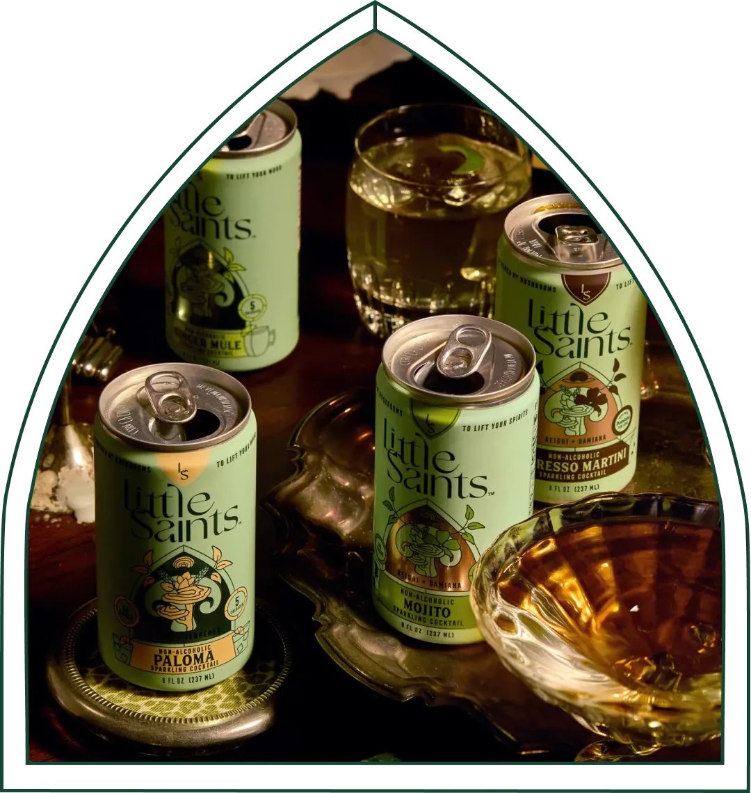 The New Flavors Bundle